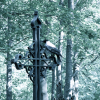 A crow perched on the branch of a cross.