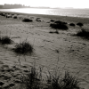 A few people were on the beach, mostly sitting up and staring at the sea. The wind was strong and it was a little chilly (by my own standards, that is).
