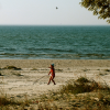 I like the instant of this photo; a bird flying by, a sail boat on the horizon, leaves and branches from a tree at the top and weeds at the bottom, framing the little girl who played by herself on the beach, drawing shapes in the sand with a long stick.