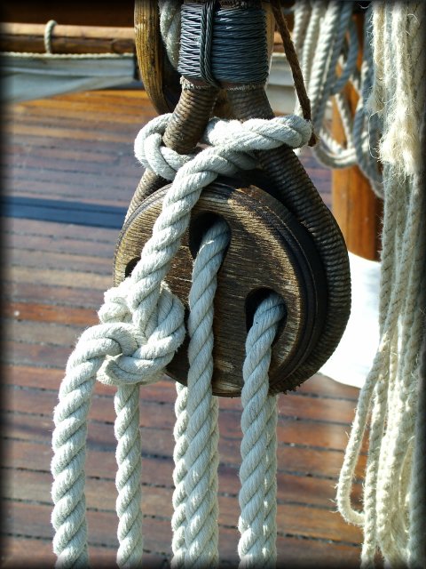 Knot