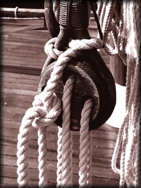 Knot