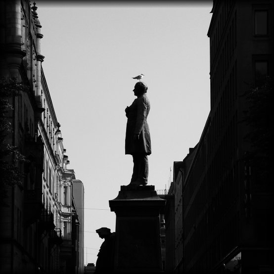 A seagull perched on the head of a statue.
