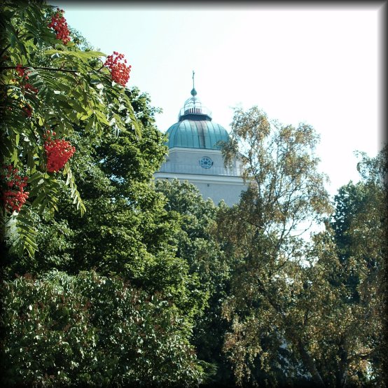 The tower of the church appearing behind trees