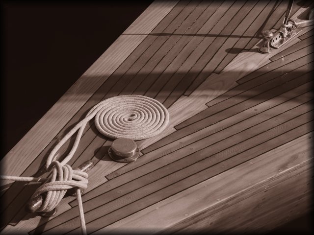 A rope neatly coiled.