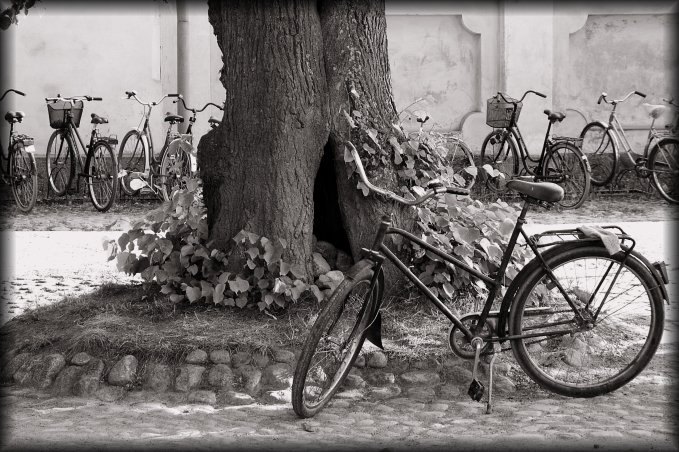 Last moments on the island of Suomenlinna, I quickly take a photo of the bikes close to the where the ferry will soon arrive.