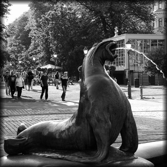 Fountain near the market
