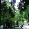 An alley in the Helsinki cemetery