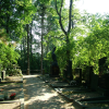 An alley in the Helsinki cemetery