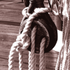 Knot
