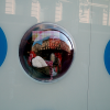 Buildings reflected in the window of a store.