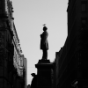 A seagull perched on the head of a statue.