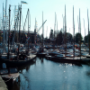 Crowded harbour