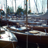 Crowded harbour
