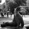 Fountain near the market