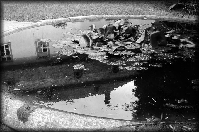 Reflection of a part of the Eberbach Abbey in the still water of a fountain, Eltville am Rhein, Germany