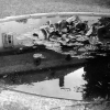 Reflection of a part of the Eberbach Abbey in the still water of a fountain, Eltville am Rhein, Germany