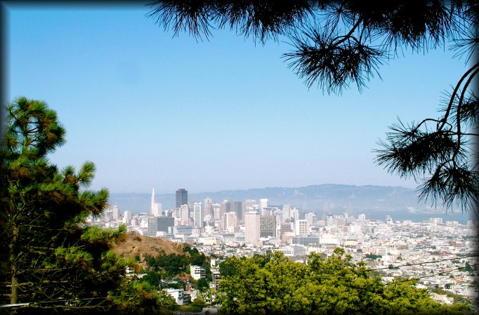 I'm walking to Twin Peaks for the view. I'm not yet there but the view is everywhere! 