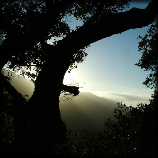 The sun is about to set and is casting lovely sunbeams in the valley.
