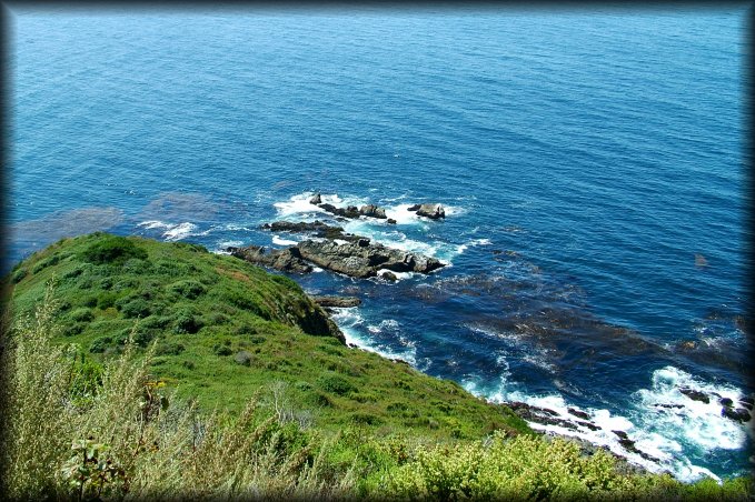 On the way to the Julia Pfeiffer Burns State Park. We *had* to stop at every turnout. I liked the contrast between the deep green and blue.