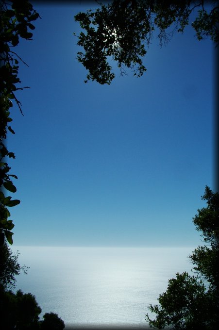 Here's what I thought when I was on top of the hill, looking down at the ocean, with tree branches framing this photo and hiding the sun: "This is like being in an aircraft. Above the clouds. Except for the trees."