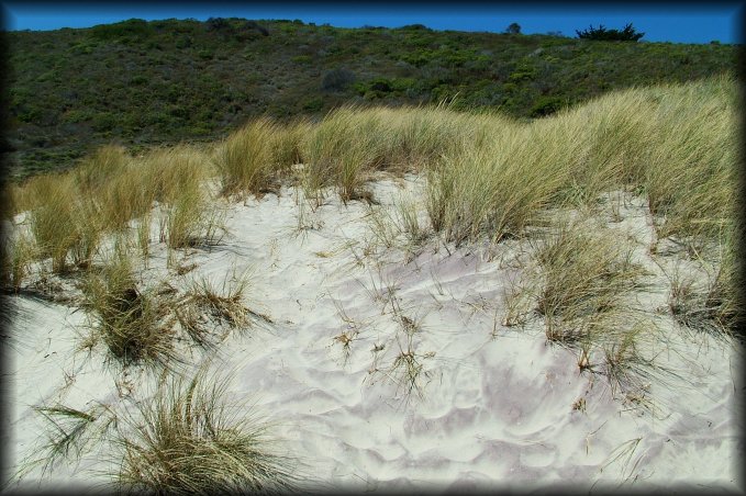 Purple sand was visible among the regular white sand on this beach