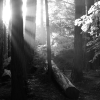 I love sun beams, I really do. 