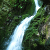 This is another waterfall, this time in the forest of the Julia Pfeiffer Burns State Park. I liked the white on the green. 