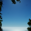 Here's what I thought when I was on top of the hill, looking down at the ocean, with tree branches framing this photo and hiding the sun: "This is like being in an aircraft. Above the clouds. Except for the trees."