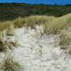 Purple sand was visible among the regular white sand on this beach