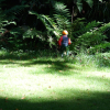 It's a garden gnome. I liked the whole setting; lush green, catchy red and the light and shadows. 