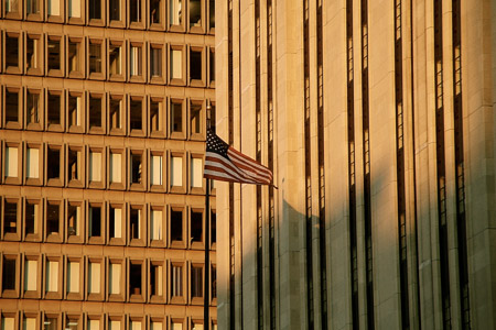 The flag