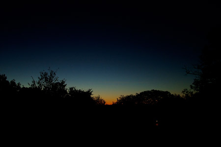 Up at the crack of dawn...