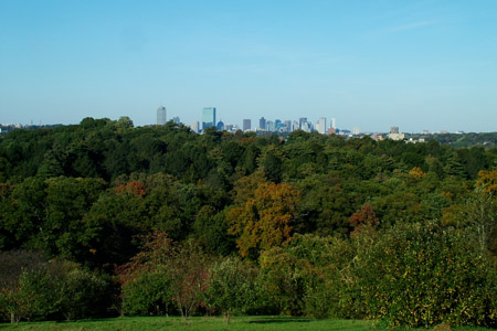 From the Arboretum