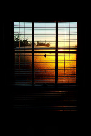 The sun is rising