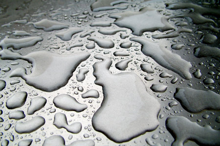 After the rain