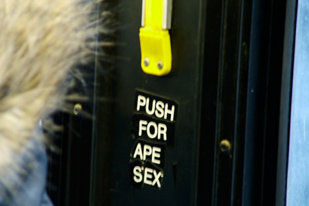 Bus pun