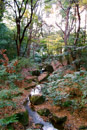 20061202060631