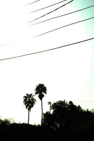 Sun drenched
