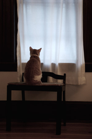 Curious