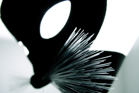 Whiskers
