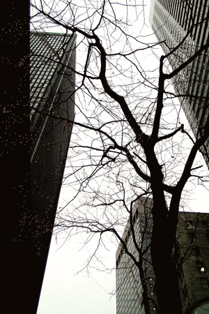 Reaching up