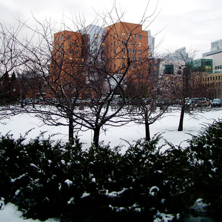 The Stata Center
