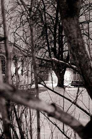 The stalker