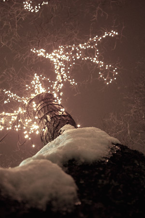 Pretty lights