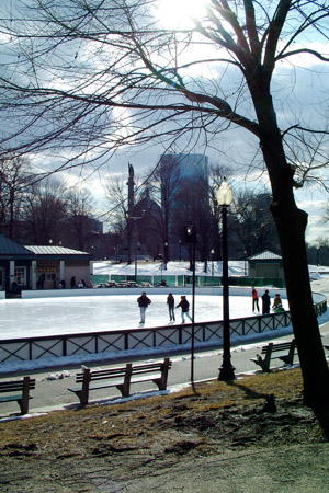 Frog Pond skating rink