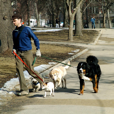 Walkie Doggies