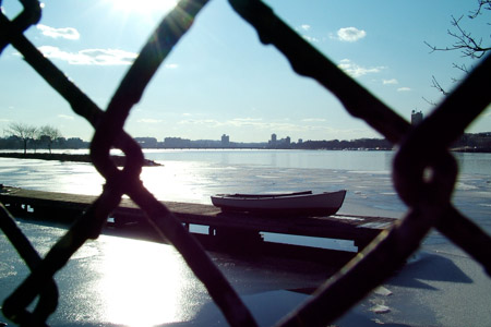 Beyond the fence