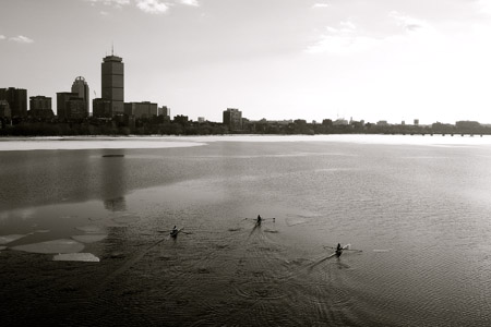Pondskaters