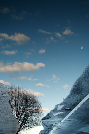 The moon in the puddle