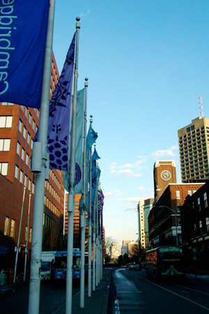 Kendall flags